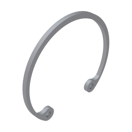 Snap ring