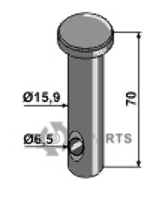 Bolt 16xh11x65x55 16-dk032