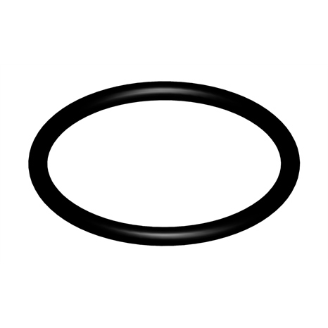 O-ring - large