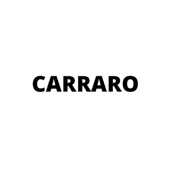Carraro  rotorkopeg onderdelen