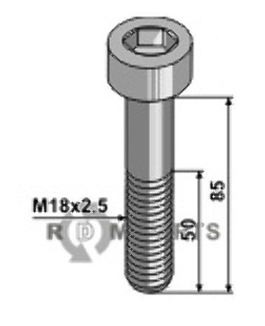 Hexagon socket bolt - m18x2,5 - 10.9 51-1885