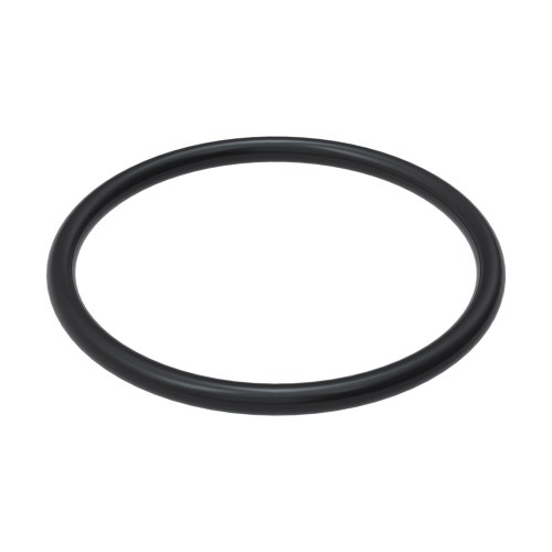 O-ring