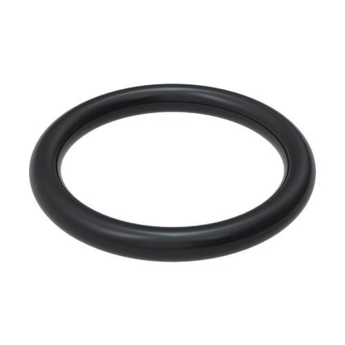 O-ring