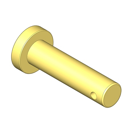 Pin