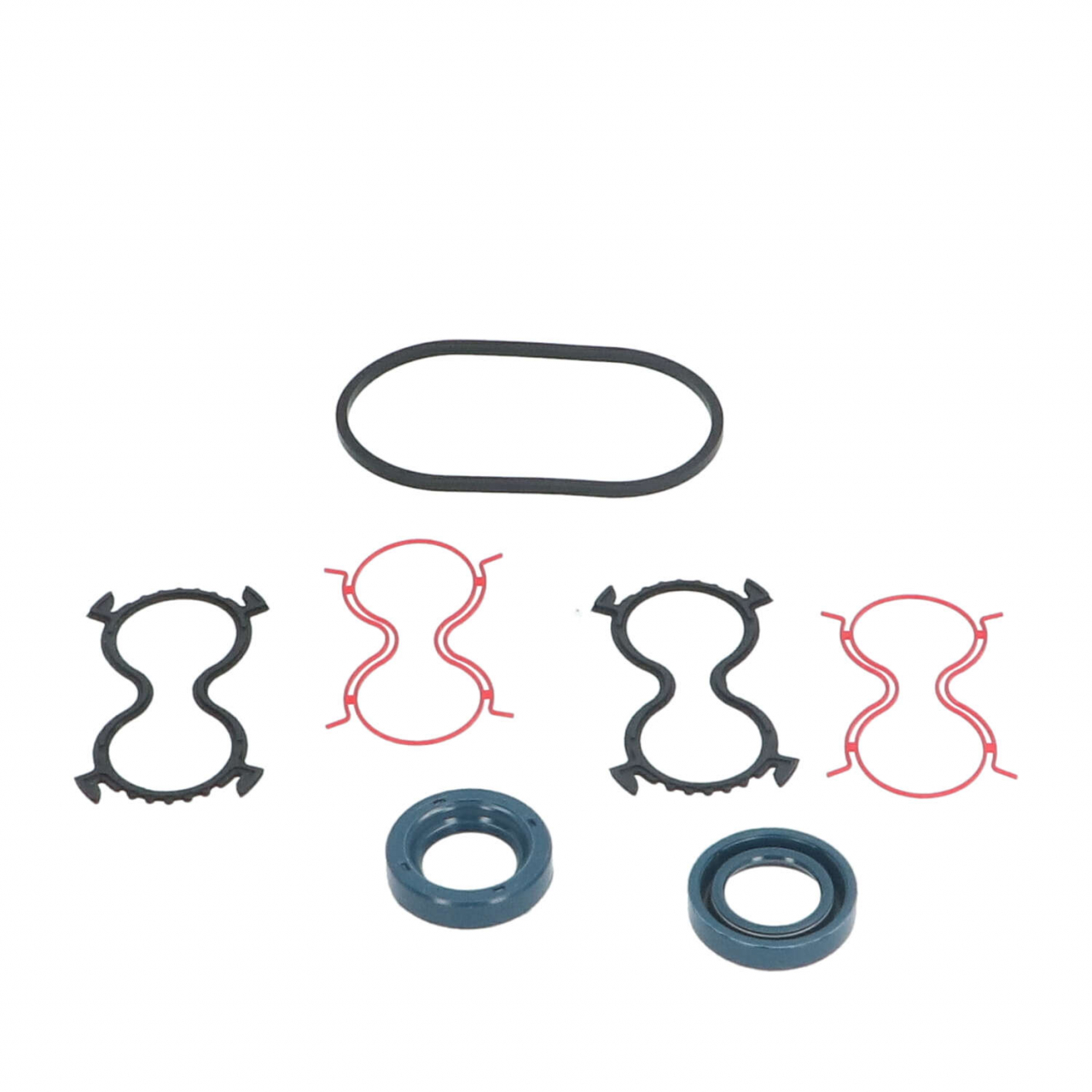 Motor seal kit
