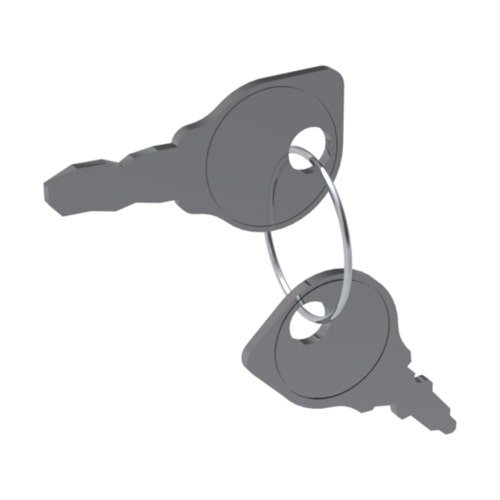 Ignition - key set/2