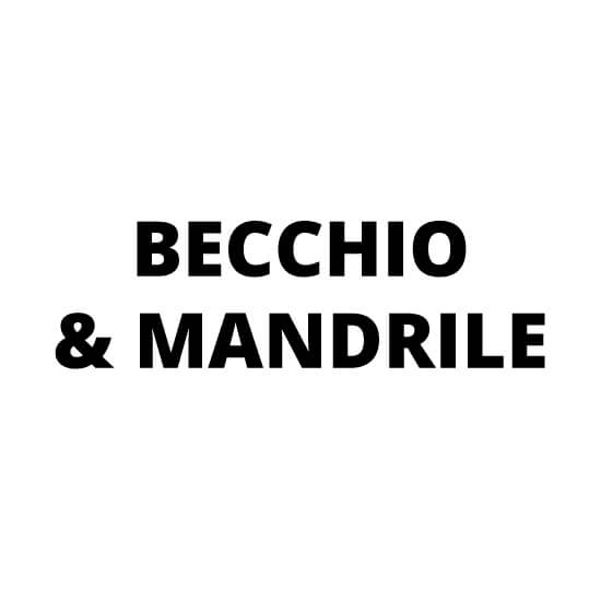 Becchio & Mandrile klepel onderdelen