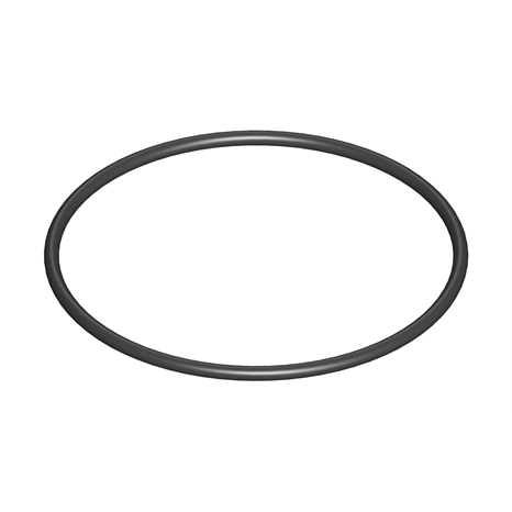 O-ring