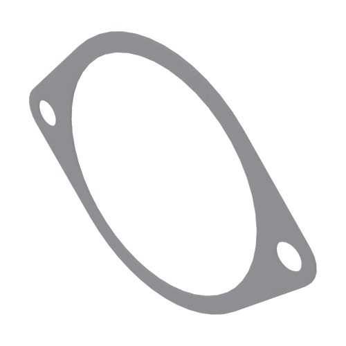 Gasket - hyd motor