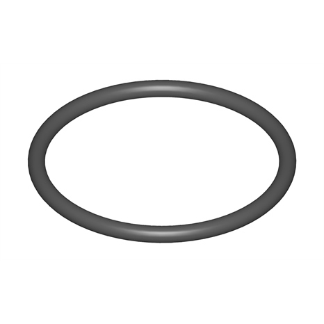 O-ring