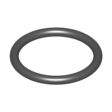 O-ring