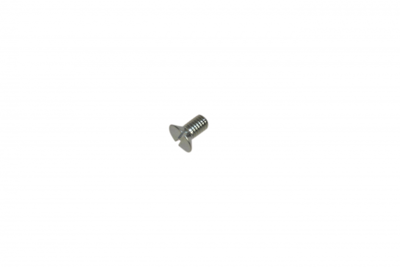 Screw Screw