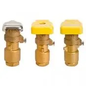 R&R Two-Piece Quick Coupling Valves