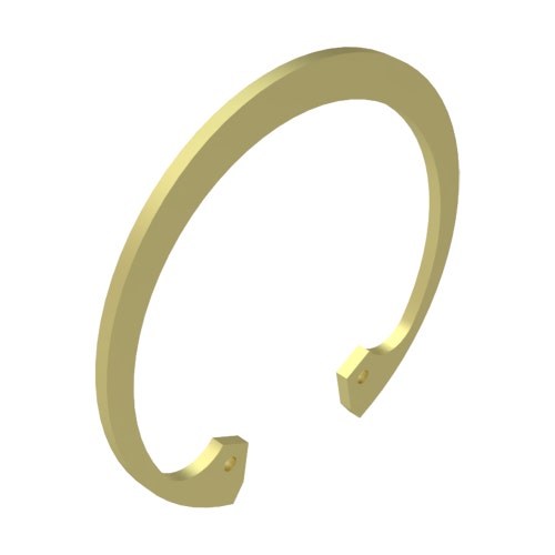Snap ring
