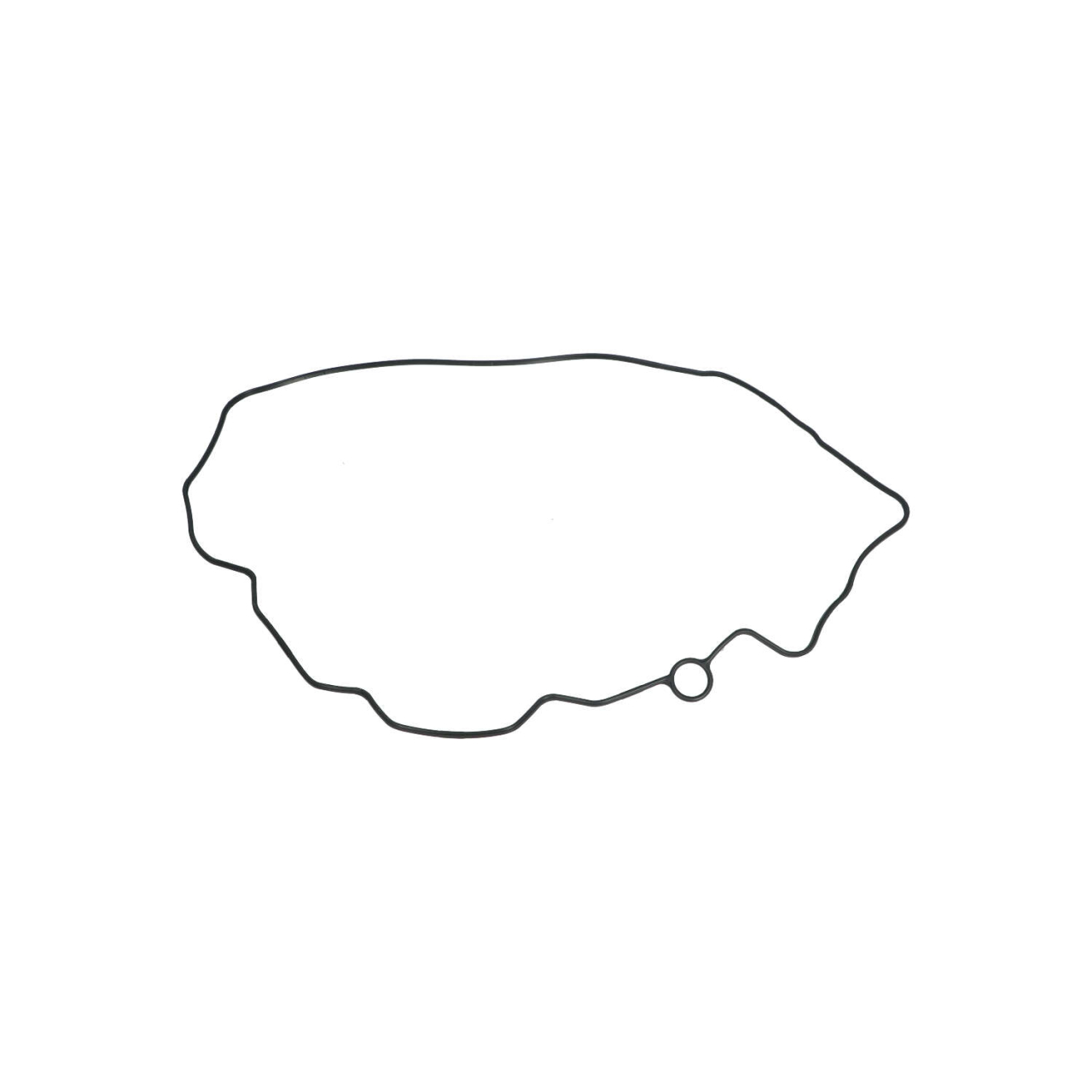 Gasket Cover