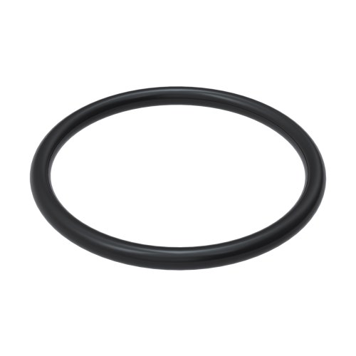O-ring