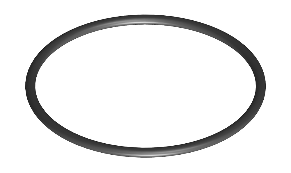 O - ring