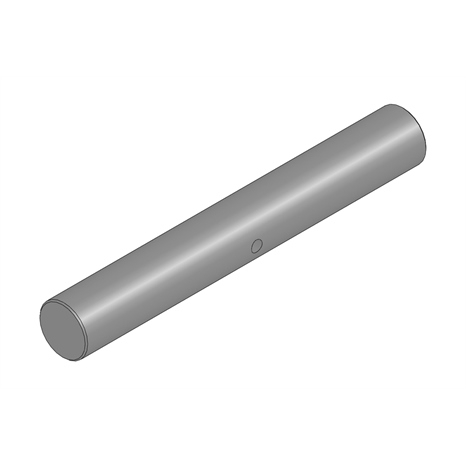 Pin - hinge