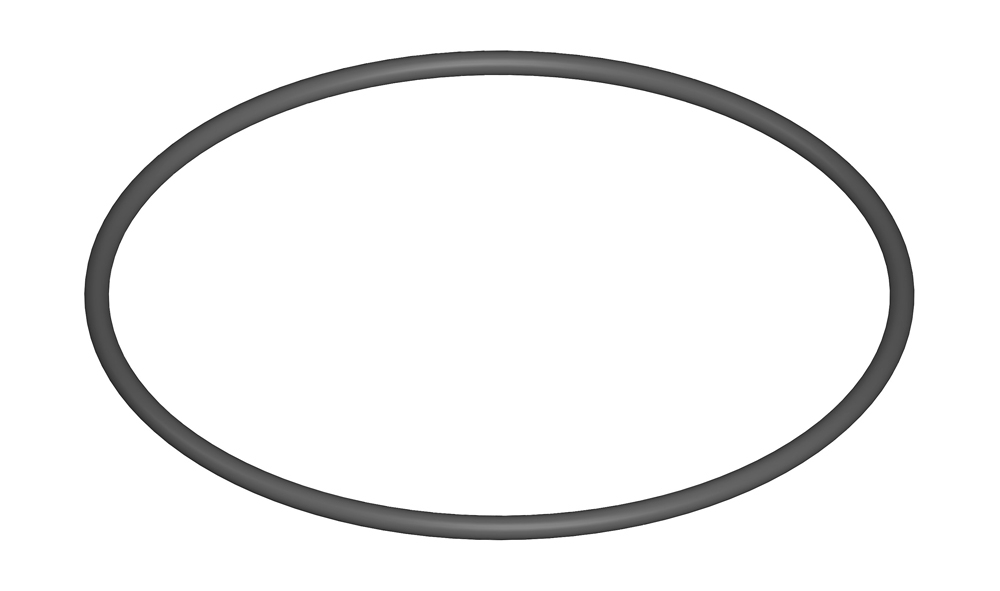 O-ring