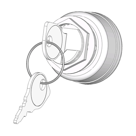 Switch - key 6 lead Switch - key 6 lead