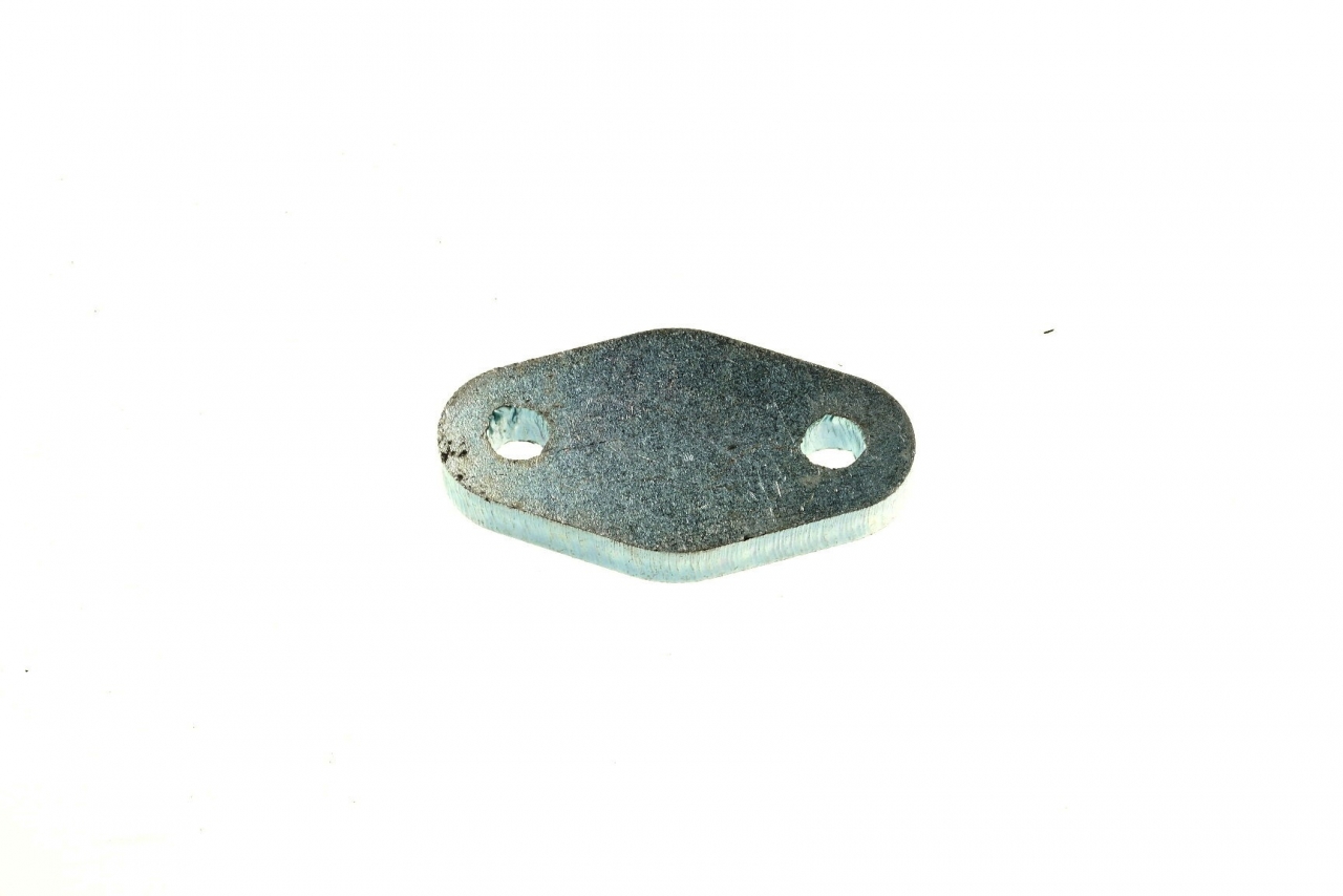 Outer plate