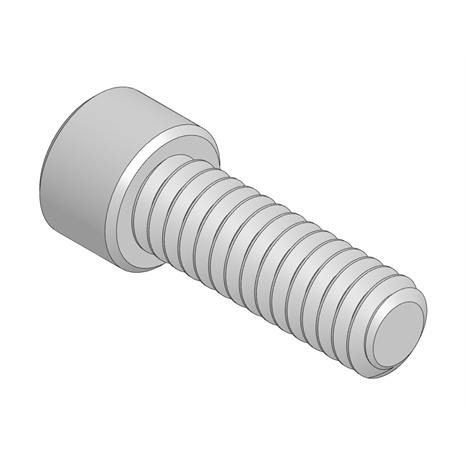 Bolt - soc hd cap 1/4-20 x 3/4 ss