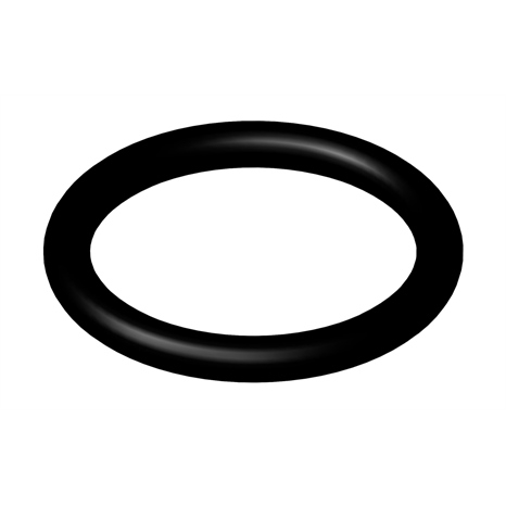 O-ring