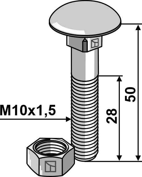 Flachrundschraube M10 verzinkt mit Mutter