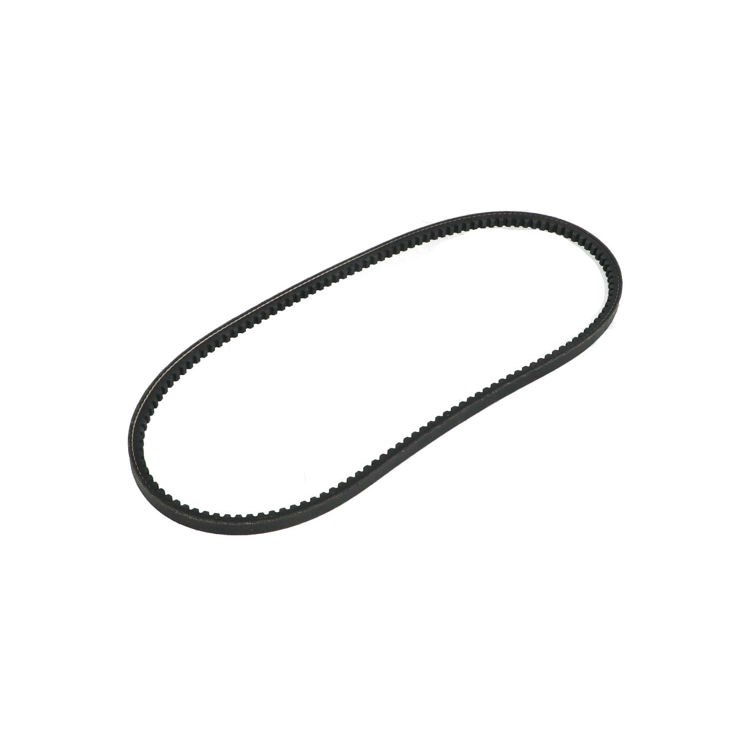 v-belt M800313