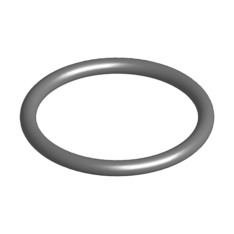 O-ring