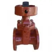Leemco Absperrschieber Flansch x Flansch