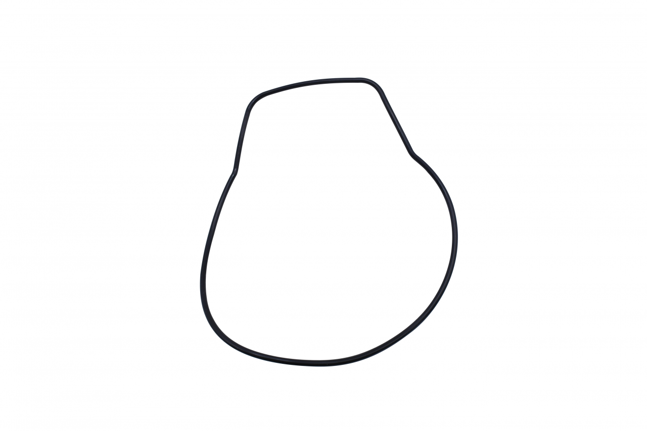 O-ring