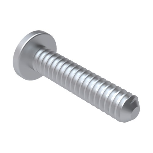 Screw