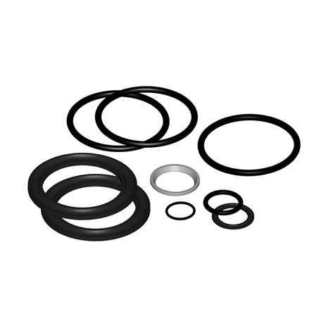 Seal kit - fits hyd cylinder