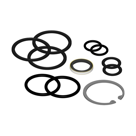 Seal kit - fits r163216 cyl