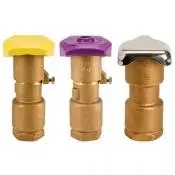 Rain Bird Quick Coupling Valves