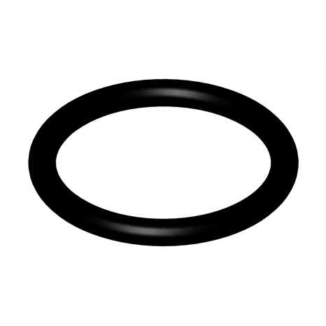 O-ring