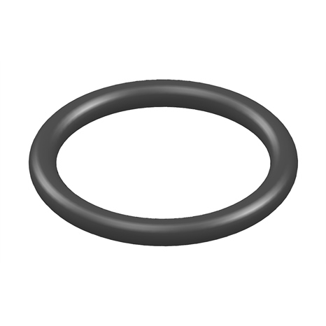 O-ring