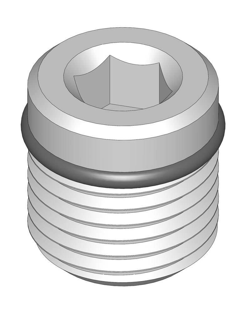 Plug - hex - hollow