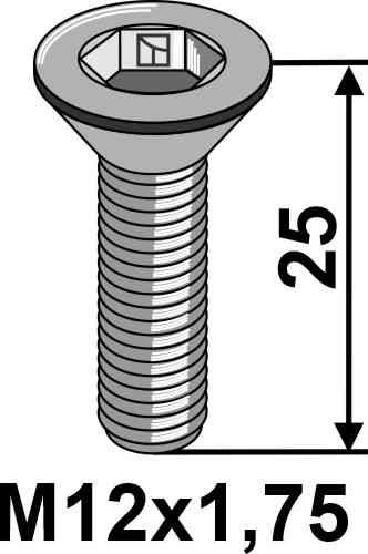 Hexagon socket screw