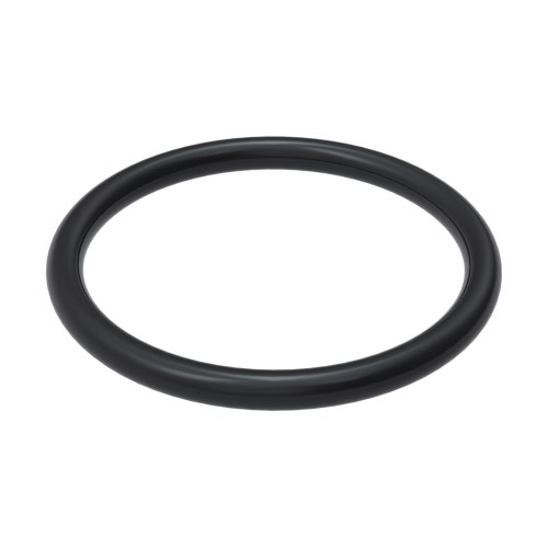 O-ring