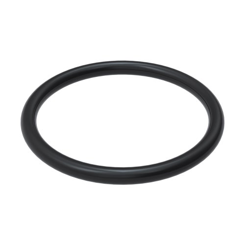 O-ring