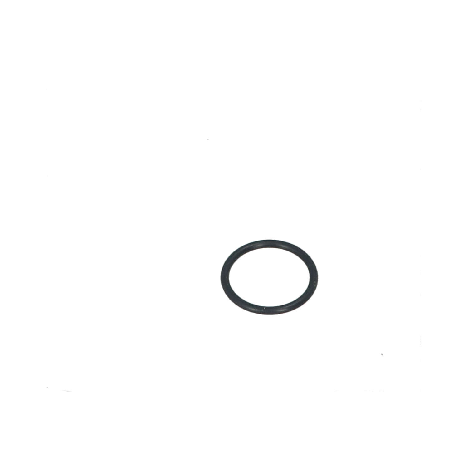 O-ring