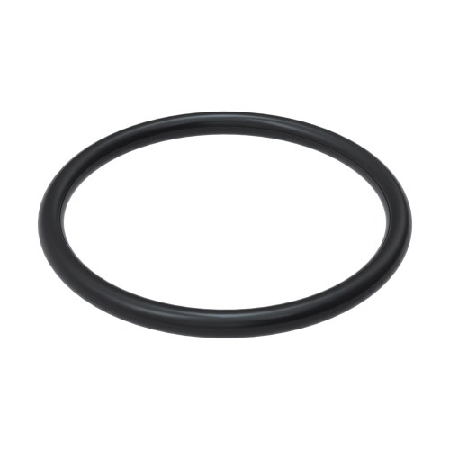 O-ring - large