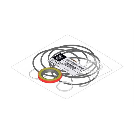 Seal kit - hyd wheel motor