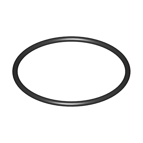 O-ring