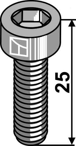 Hexagon socket bolt