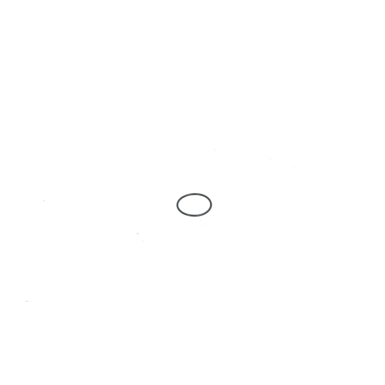 O-ring