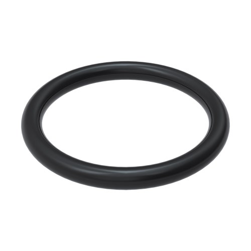 O-ring