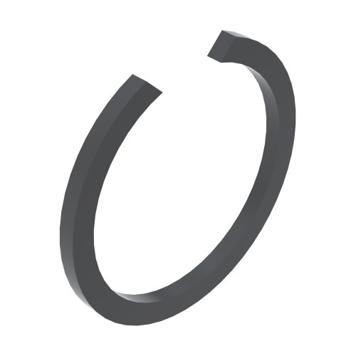 Snap ring